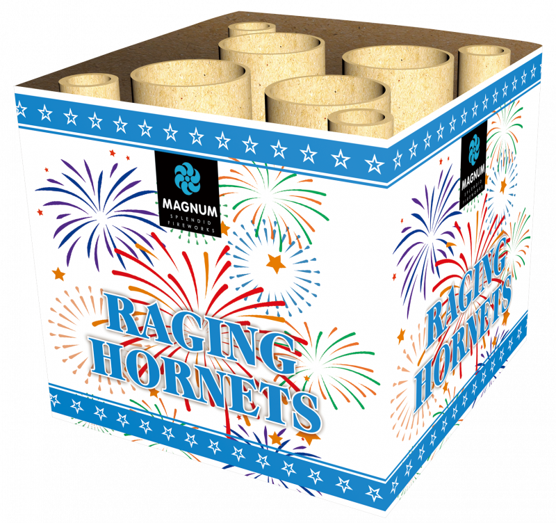 Raging Hornets Fountain